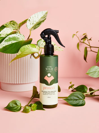 We the Wild Protect Spray 250ml